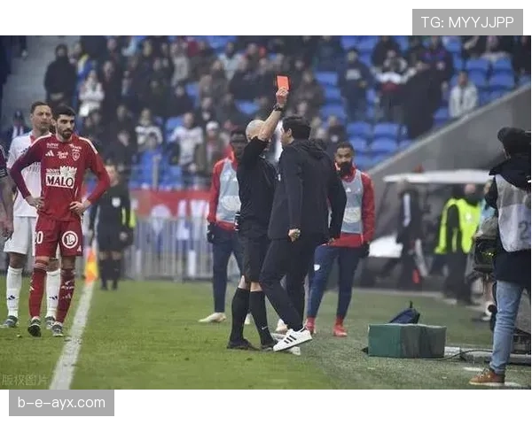 布雷斯特关键战稳健发挥,力克强敌斩获宝贵三分 布雷斯特关键战稳健发挥,力克强敌斩获宝贵三分