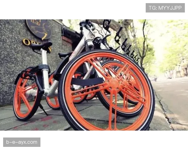 伊萨克赛事效应凸显:体育影响力跃升与未来发展新图景 伊萨克赛事效应凸显:体育影响力跃升与未来发展新图景