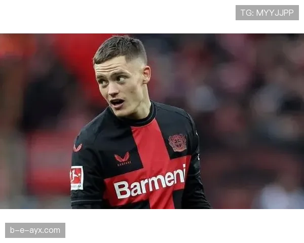 维尔茨与厄德高组织效率对比分析