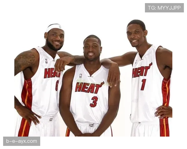 克里斯·波什挡拆拉开空间助热火内线得分结构优化