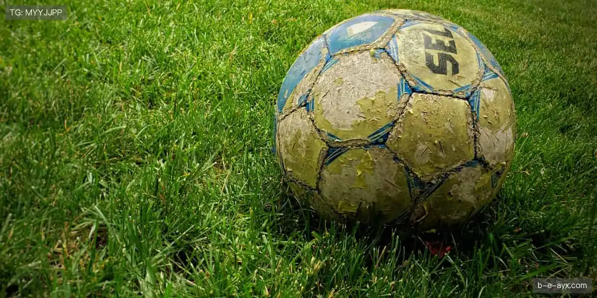 📱多屏同步，随时随地捕捉精彩瞬间！📻